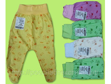 �������� 34