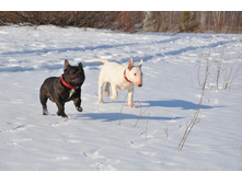 ��� � ������ 2.jpg