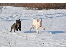 ��� � ������.jpg