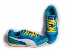 Puma sp-1