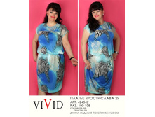 424542  2 (970-00).jpg