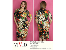 466443  (930-00).jpg