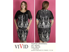 465643  (880-00).jpg