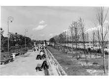 C���� �� ������.jpg