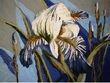 ���� �����.JPG