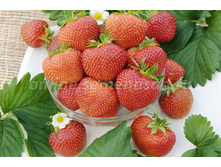 ��������� ������� �����(������������).jpg