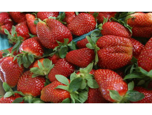 ��������� ������� ������������.jpg