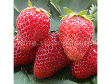 ��������� ������� �������� (������������).jpg