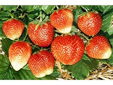 ��������� ������� ������.jpg