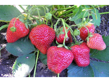 ��������� ������� ��������� 2.jpg