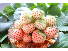 ��������� ������� ���������(�������).jpg