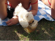 16_��� � ��������