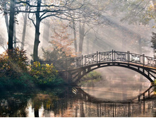 ������ ��� �� ����.jpg