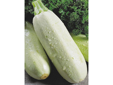 ������� ����������� 5,50���..jpg