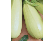 ������� ���������� 37 3,19 ���..jpg