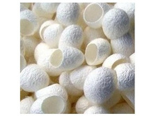 ������ ���������� - 127���.jpg