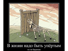 ������ ���� ���� �У����, �� �� �������!.jpg