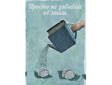 ������ �� ������� �� ����.jpg