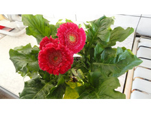 �������...