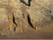 Resize of 20140419_105320.JPG