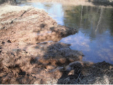 Resize of 20140419_110044.JPG