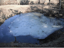 Resize of 20140419_110316.JPG