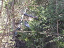 Resize of 20140419_111012.JPG