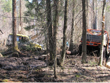 Resize of 20140419_113942.JPG