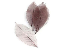 MR-62121. � ����� ��� ����������,