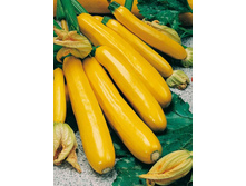 ������� ������������ 6,10 ���..jpg