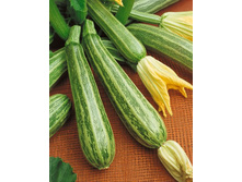 ������� ����� ������� 6,50 ���..jpg