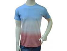 C1819. 300 ���.