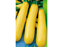 ������� ��������� ������� 5,00 ���..jpg