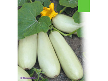 ������� ����� 3,19 ���..jpg