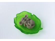 ����� 3D \"������� �� �������\".  ��� �������� ���� �������� 60-70 ��.  ���� 350 ���. (������� ����� ��� ������), 450 ���.(������� ������� ���)