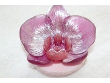 ����� 3D \"������� �� �����\".  ��� �������� ���� 120 �����  ���� 450 ���. (������� ����� ��� ������), 550 ���.(������� ������� ���