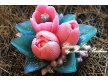 ����� 3D \"����� ���������\".  ��� �������� ���� 120��. ������ 9,5��, ������ 5��.  ���� ����� 450 ���. (������� ����� ��� ������), 550 ���. (������� ������� ���)