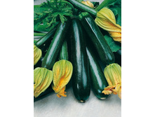 ������� ������ �������� (�������) 3,19 ���..jpeg