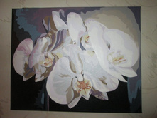 ����� insaitiable