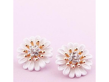 ������ ��������,139 ���..jpg