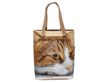 1490� ����� ������� ��� �����....png