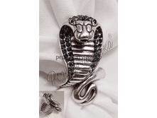 340� �����-������ ������� ������ ���� (�����, ������ �����).gif