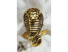 340� �����-������ ������� ������ ���� (������, ������ ����������).gif