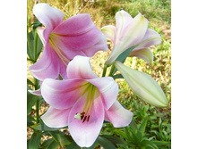 ����� ����� ������ 360�