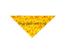 130� �������-������� �� ������ ���������.png