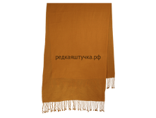 570� �������� �� ������� ����� ������ �������.png