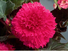 ��������� ������� 94,3�