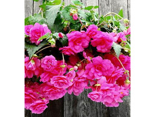 ��������� ������� 105,6�