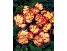 ������� ������ ��������� �����-�����. 108�