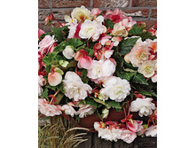 ������� ������� ������-����� 172,8�